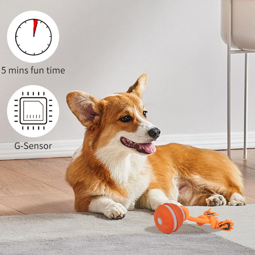 Pet Ball for Dogs Interactive  - огляд і ціна Automatic Moving Dog Ball