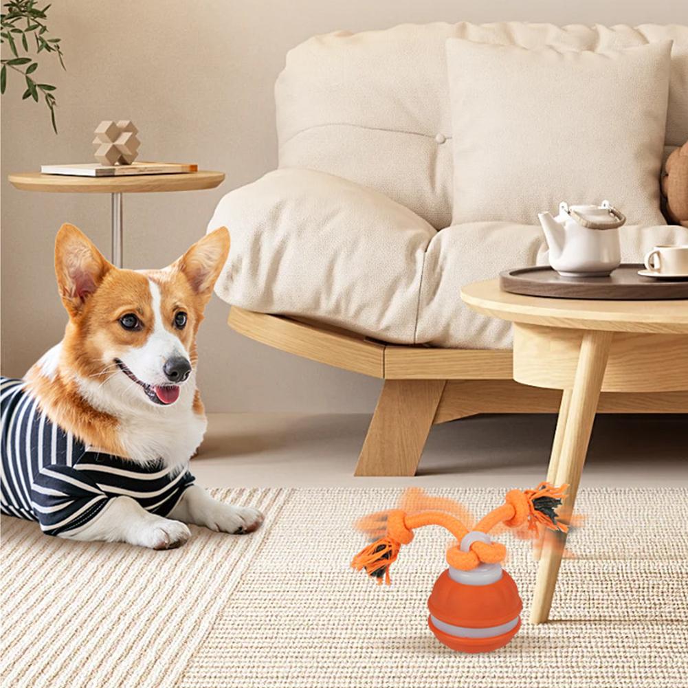 Pet Ball for Dogs Interactive  - огляд і ціна Automatic Moving Dog Ball