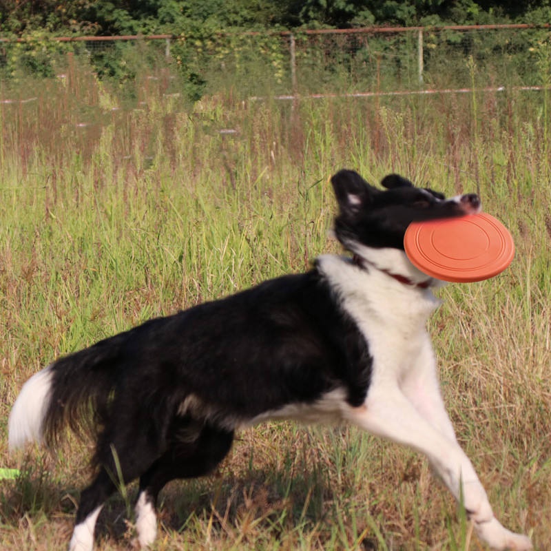 Chewable Soft Rubber Flying Di - огляд і ціна Flying Disc Dog Training Toy