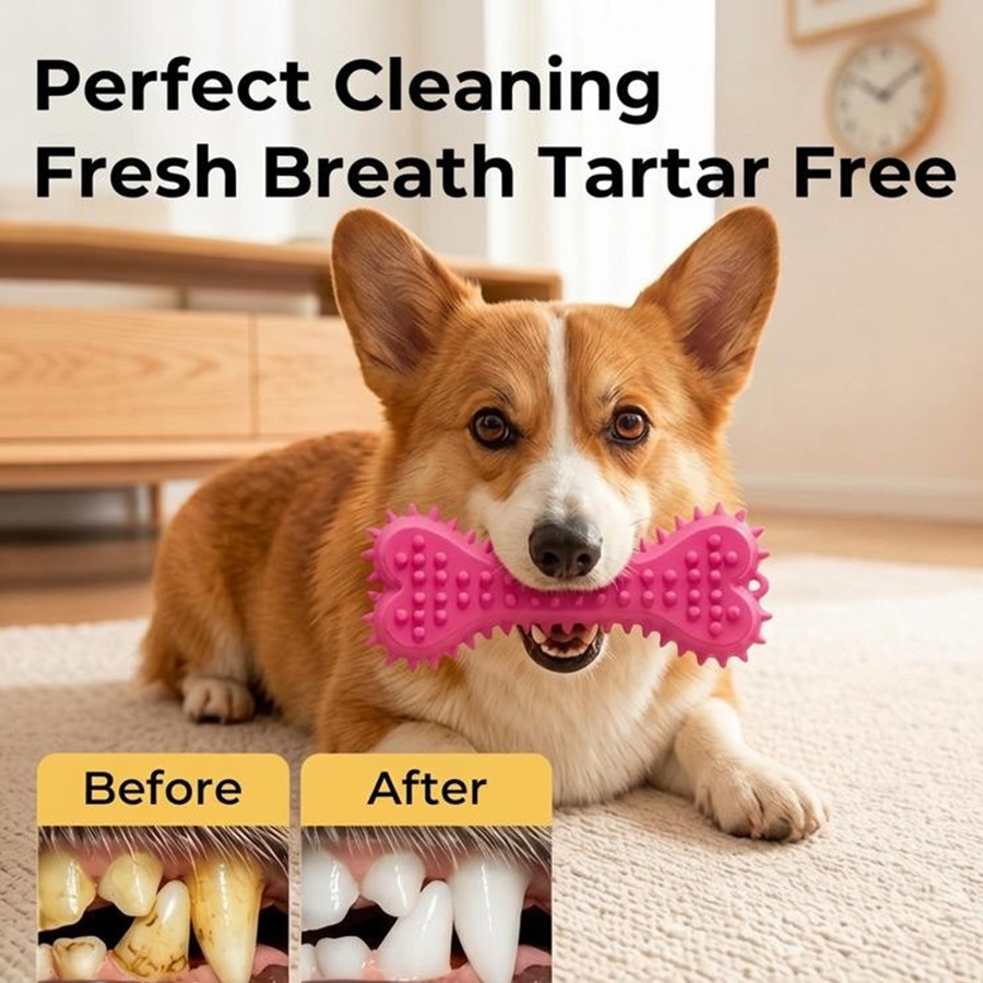 3/6pcs Chew Toys Dog Rubber To - огляд і ціна Teeth Cleaning Dog Chew Bone